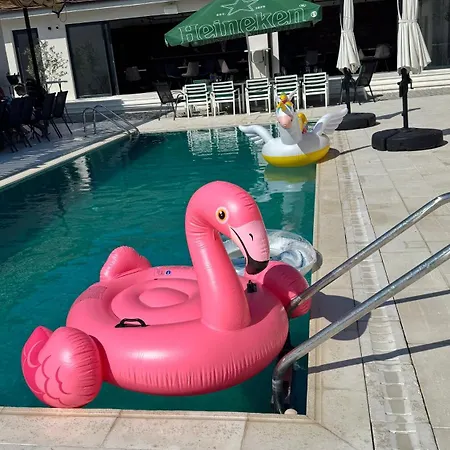 Events - Privata Cu Piscina Aproape De Mamaia Si Constanta * Poiana (Dobruja)